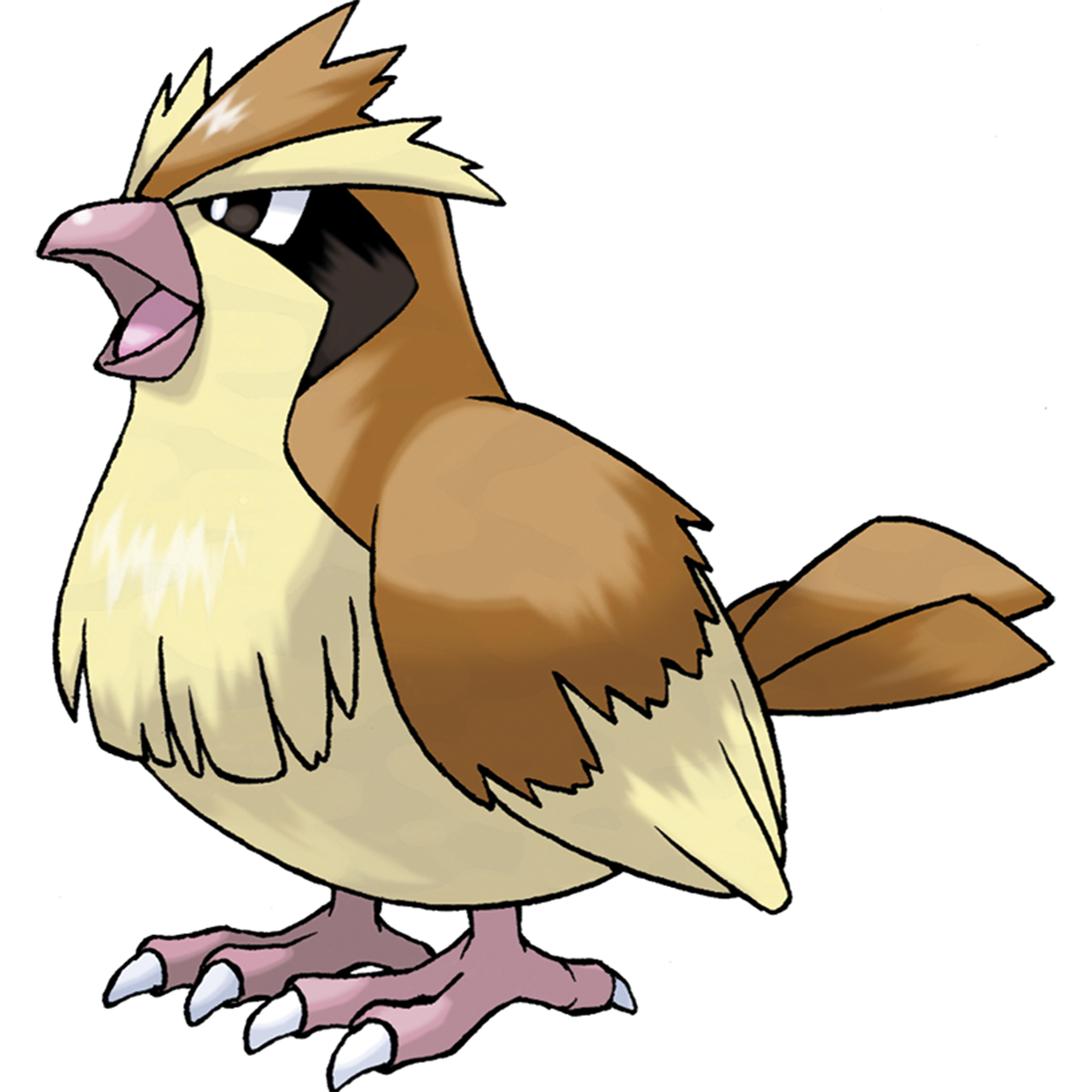 Pidgey
