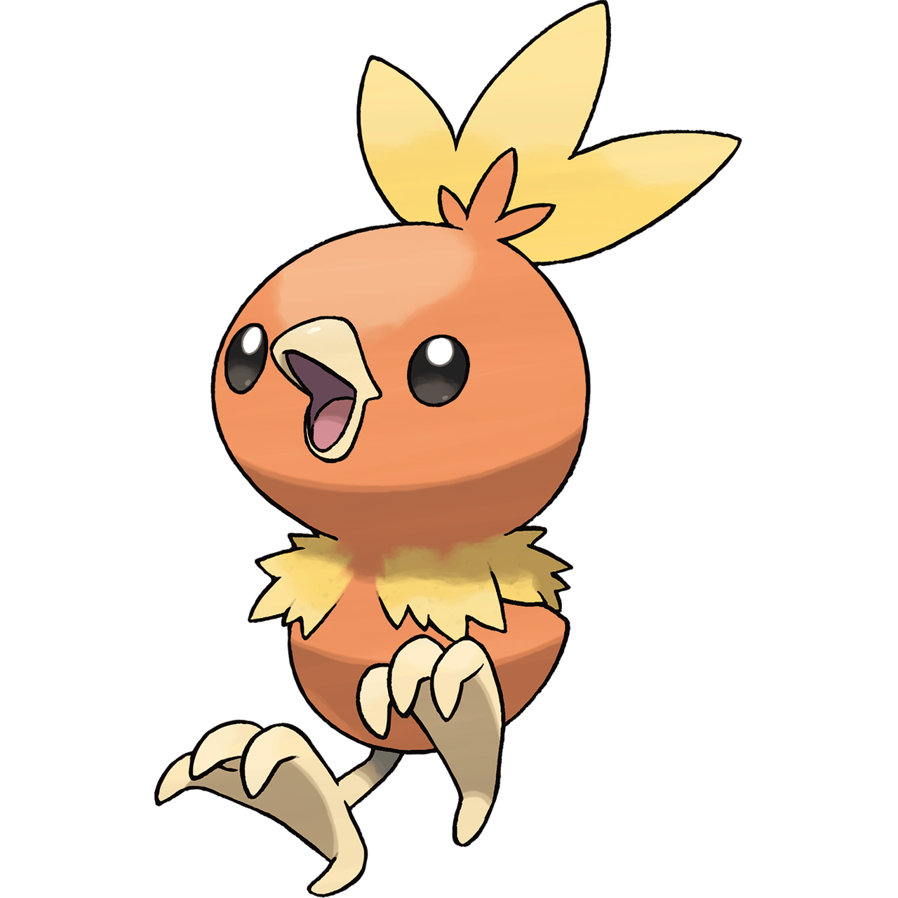 Torchic