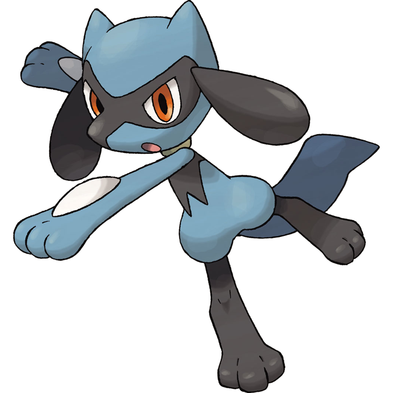 Riolu