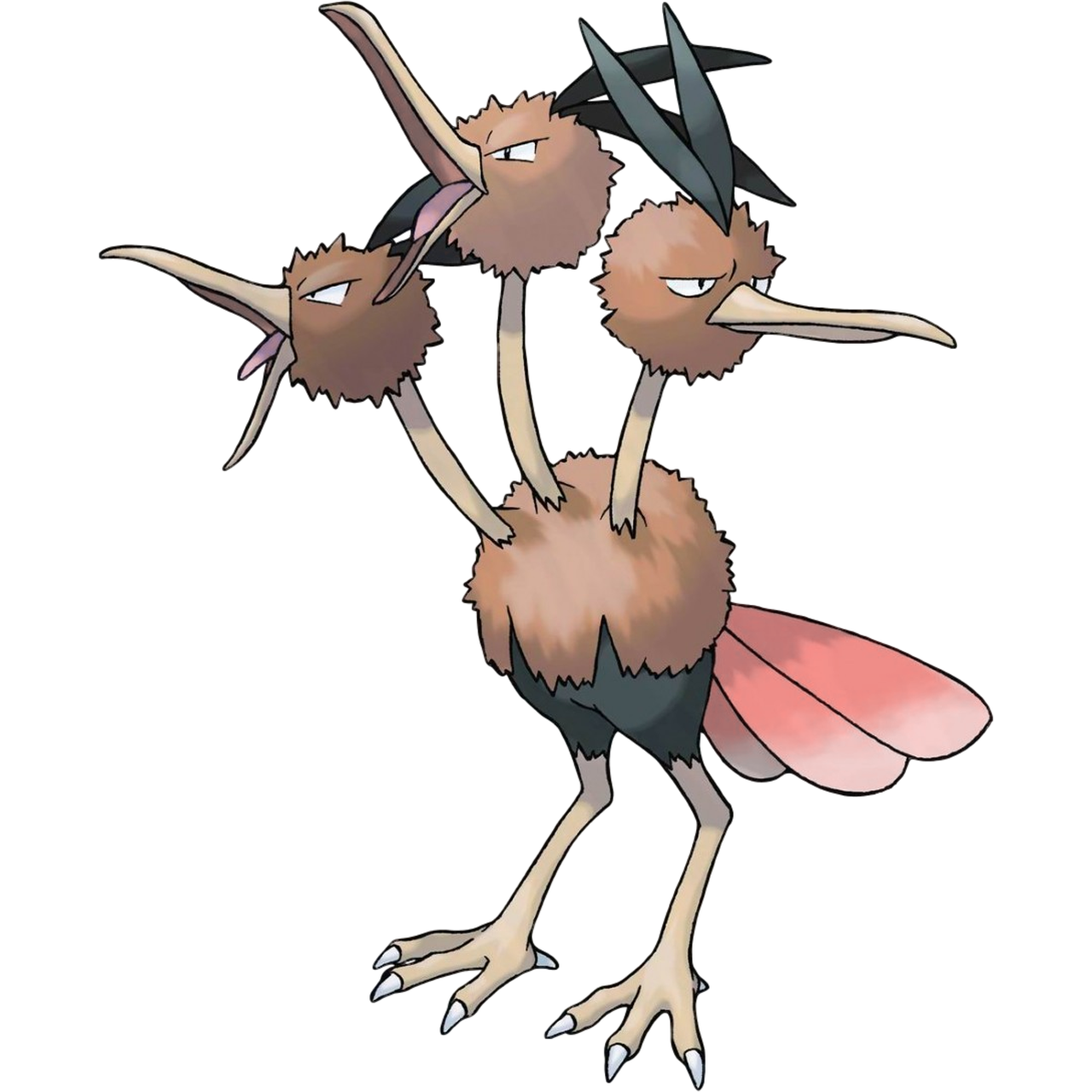 Dodrio